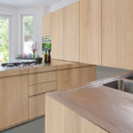 Milk Oak (White Oak)