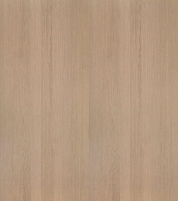 04_desert_oak